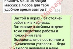 Девушка инкогнито,26 заявка
